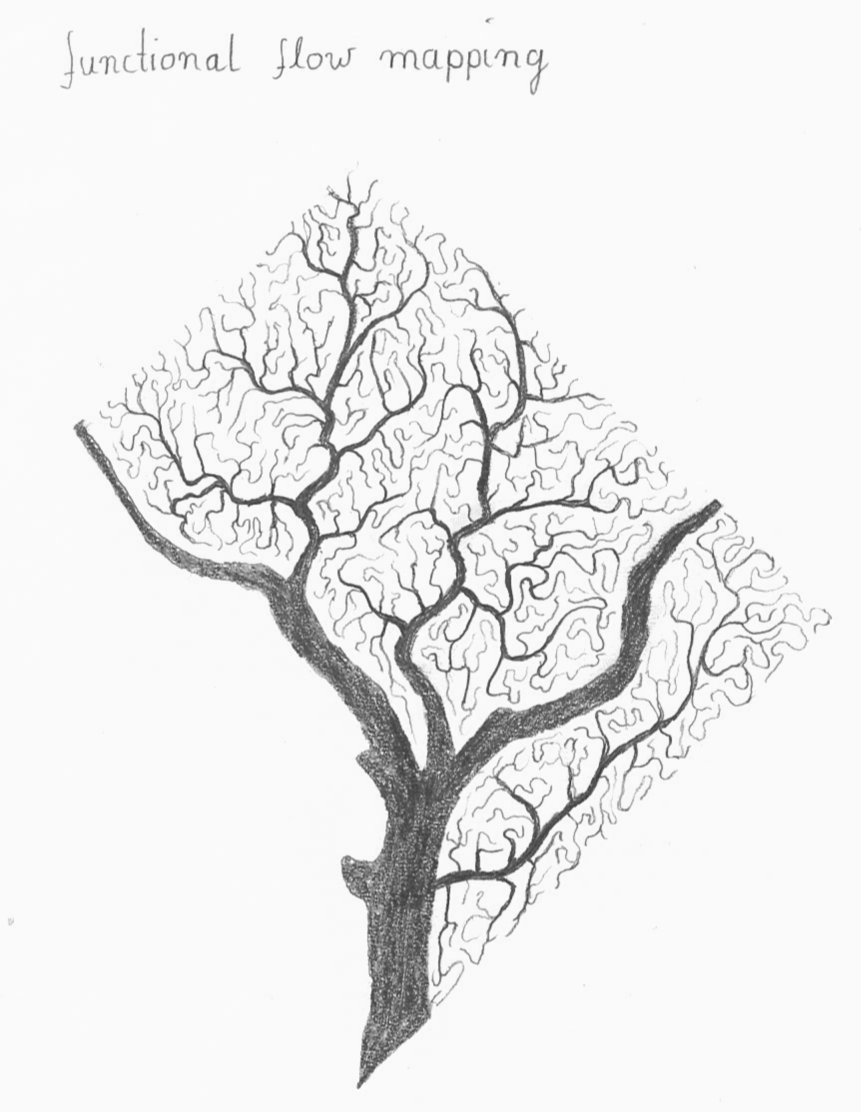 flow_mapping.png