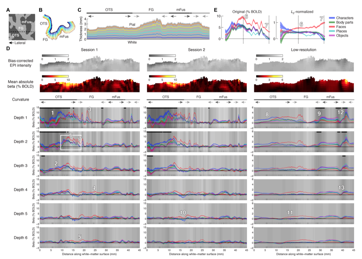 layer-fMRI software repositories – layer fMRI blog