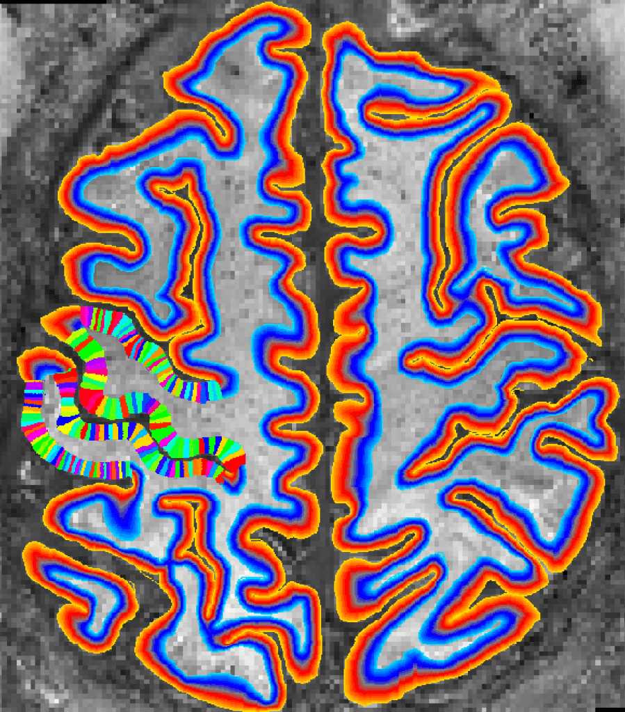 layer-fMRI software repositories – layer fMRI blog
