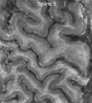 interpolation_spline5_Nearest