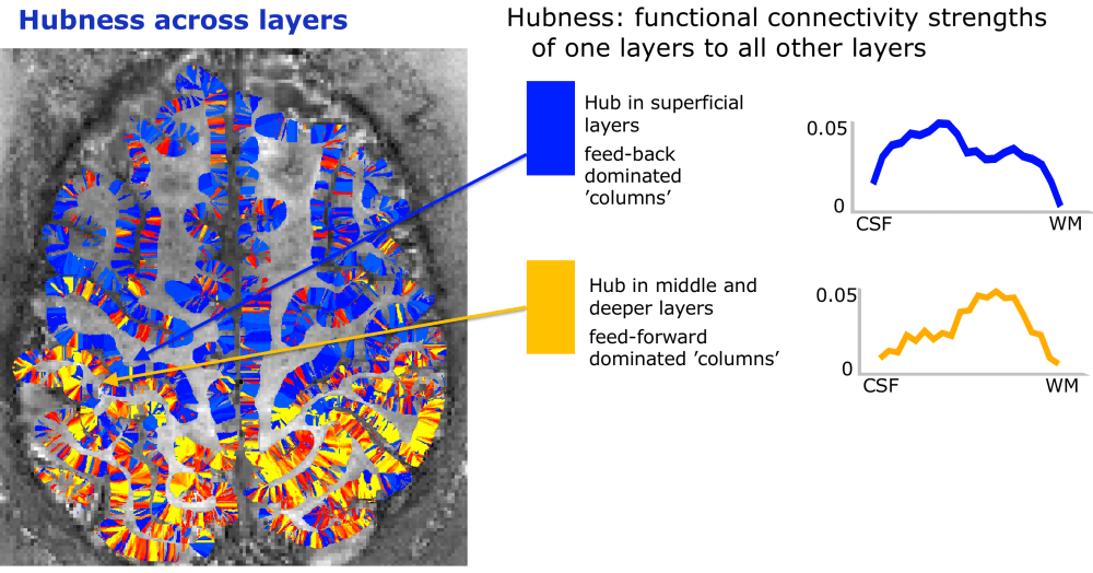 Screenshot 2018-09-04 15.46.24.png