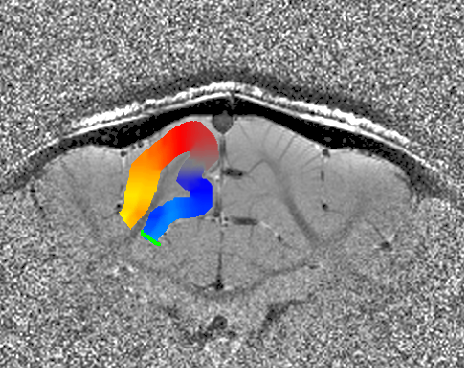 Screenshot 2018-09-26 14.51.09.png