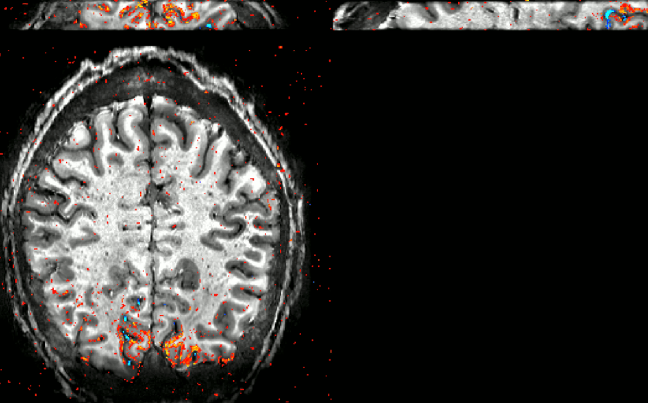 Screenshot 2020-05-07 at 11.36.25.png