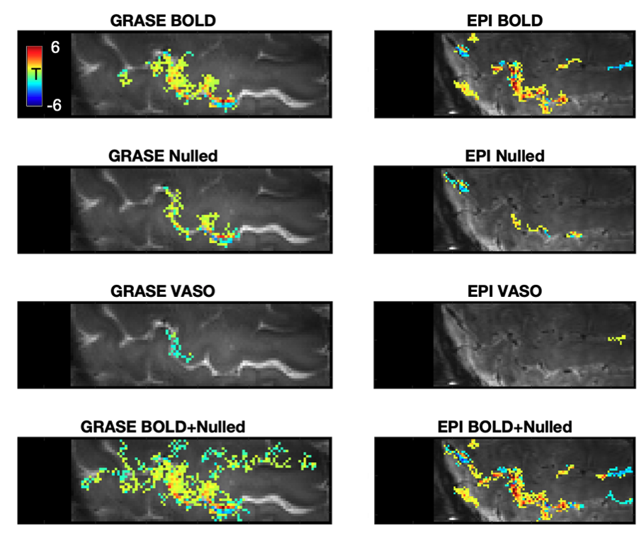 Screenshot 2021-07-20 at 14.29.31