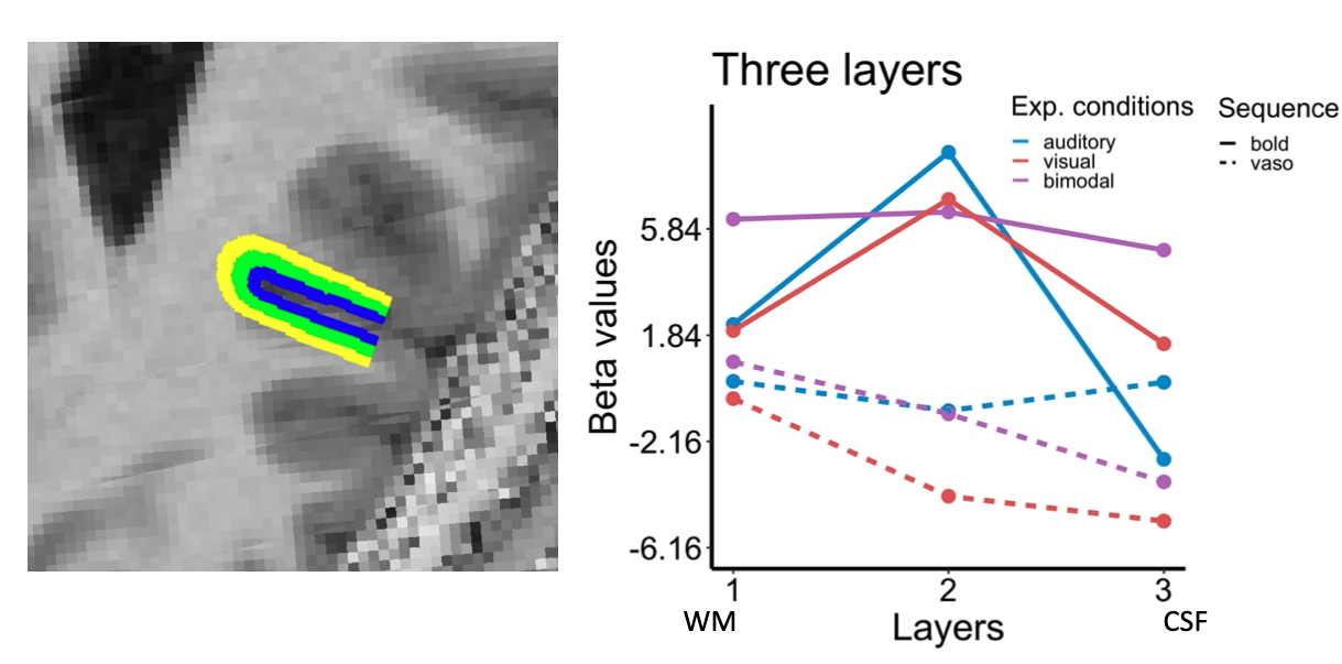 Screenshot 2021-11-22 at 10.59.33