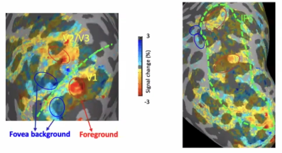 Screenshot 2021-11-22 at 11.10.10