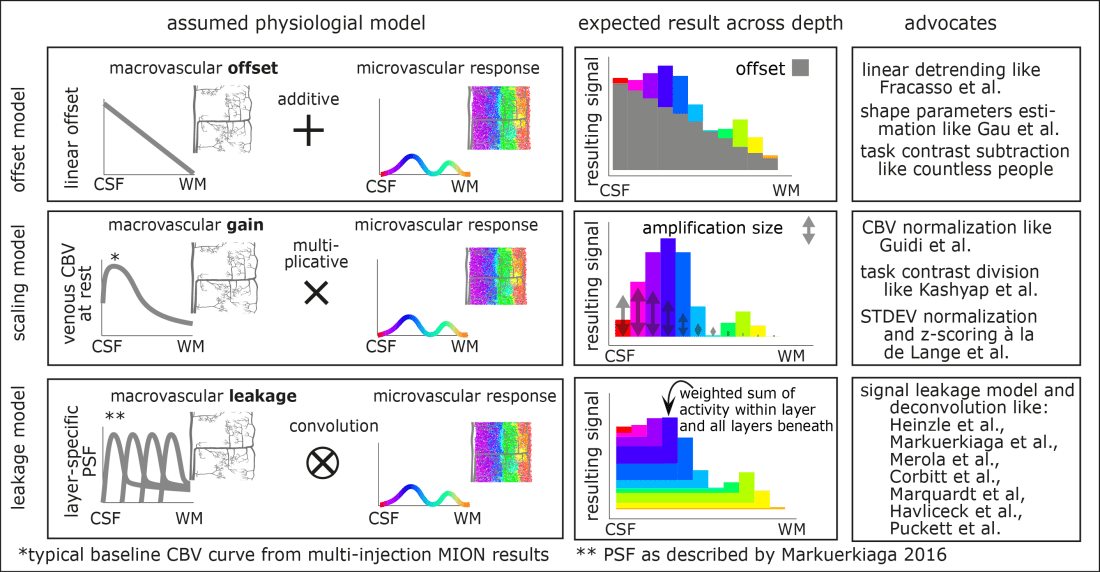 physiological_assumption-01